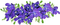 violets, sunshine3 - PNG gratuit GIF animé