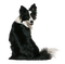 Dog - Nitsa - bezmaksas png animēts GIF