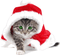 x mas cat - безплатен png анимиран GIF