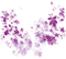 Leaves.Purple - PNG gratuit GIF animé