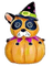 nbl-halloween - Free PNG Animated GIF