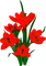 Flowers.Red - png grátis Gif Animado