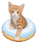 Katze, Cat, Donut - Безплатен анимиран GIF анимиран GIF