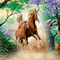 pferd horse milla1959 - Бесплатный анимированный гифка анимированный гифка