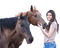 Caballo by EstrellaCristal - Free PNG Animated GIF