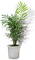 Blumentopf - безплатен png анимиран GIF