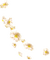 fleur marron.Cheyenne63 - Free PNG Animated GIF
