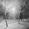 Y.A.M._Winter background black-white - Bezmaksas animēts GIF animēts GIF