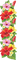 exotic flowers border tube - 免费PNG 动画 GIF