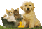 animals schlappi50 - 無料のアニメーション GIF アニメーションGIF