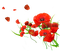 Coquelicots - Free PNG Animated GIF
