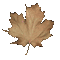 autumn - Free animated GIF Animated GIF