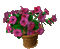 Kaz_Creations  Animated  Flowers - Δωρεάν κινούμενο GIF κινούμενο GIF