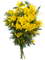 mimosa - zdarma png animovaný GIF