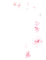 Cherry Blossoms ♫{By iskra.filcheva}♫ - PNG gratuit GIF animé