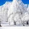 winter  background by nataliplus - Free PNG Animated GIF