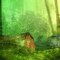 Fond Vert Foret Eau:) - Free animated GIF Animated GIF
