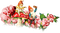 soave deco mushrooms gnome fantasy flowers - PNG gratuit GIF animé