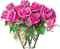 roses - png ฟรี GIF แบบเคลื่อนไหว