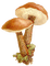 champignon - png grátis Gif Animado
