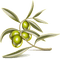 Olive Branch - kostenlos png Animiertes GIF