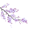 Cherry Blossom Branch - zdarma png animovaný GIF