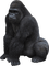 Kaz_Creations Gorilla - png gratuito GIF animata