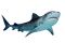 shark - безплатен png анимиран GIF