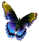 Y.A.M._Summer butterfly - Zdarma animovaný GIF animovaný GIF