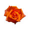 kikkapink deco scrap orange rose flower - ilmainen png animoitu GIF
