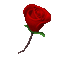 Heart Rose - Bezmaksas animēts GIF animēts GIF