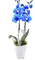 Blumentopf - ilmainen png animoitu GIF