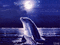 ♥Glitter dolphin♥ - Бесплатный анимированный гифка анимированный гифка