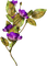 flor - безплатен png анимиран GIF