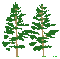 trees bp - Δωρεάν κινούμενο GIF κινούμενο GIF