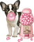dog bubblegum candy pink - ücretsiz png animasyonlu GIF