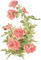 roses vintage - 免费PNG 动画 GIF