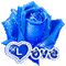 Blue Rose Love