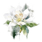 kwiat - Darmowy animowany GIF