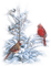 Birds in Winter - zadarmo png animovaný GIF