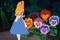 Alice au pays des mmerveilles - png gratis GIF animasi