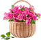 Kaz_Creations Deco Flowers Basket Colours - kostenlos png Animiertes GIF