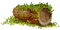 tronco - Free PNG Animated GIF