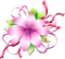 Y.A.M._Summer Flowers Decor - 無料png アニメーションGIF