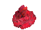 rose rouge.Cheyenne63 - Free animated GIF Animated GIF