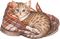 Winter.Cat.Chat.Gato.Chaussons.Victoriabea - png grátis Gif Animado