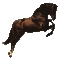 cheval - Darmowy animowany GIF animowany gif