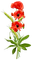 Poppies - безплатен png анимиран GIF
