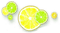 Green yellow oranges deco [Basilslament] - PNG gratuit GIF animé