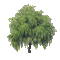 arbre - GIF animasi gratis GIF animasi
